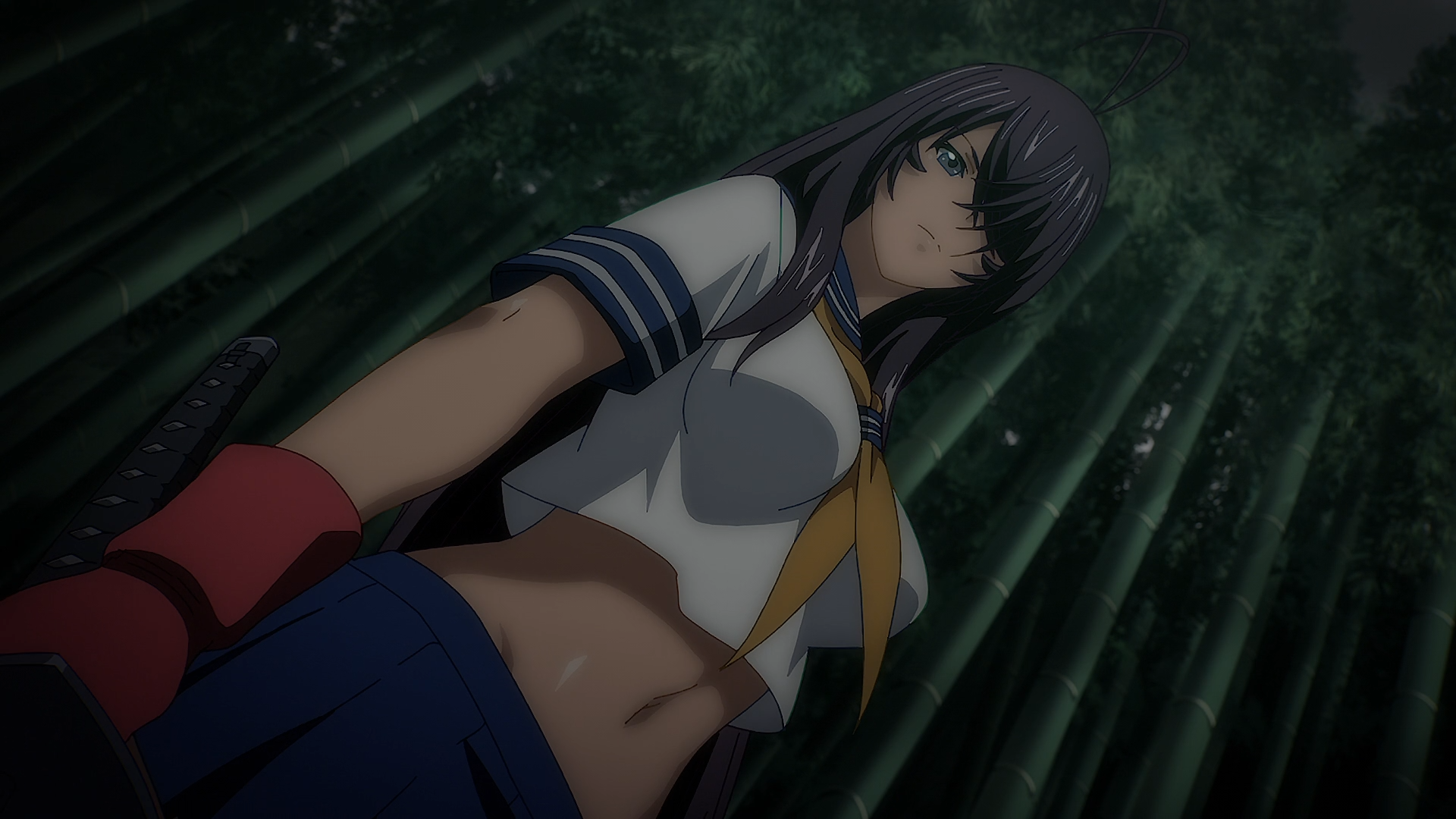 Shin Ikkitousen (PuyaSubs!)